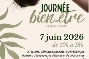Journée bien-être chevaux et humains