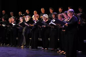 Concert Orchestre Symphonique du Pays Basque : L'Arlésienne de Georges Bizet