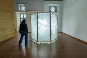 Visite brève et insolite « Une œuvre, une abbaye »