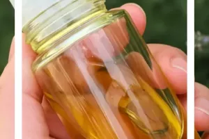 Atelier Aroma'Été · Fabrique ton roll-on anti-moustiques