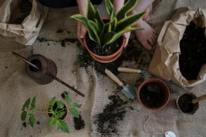 Atelier Jardinage Urbain