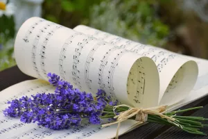 Concert au marché fermier: chansons françaises