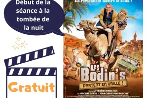 Cinéma sous les étoiles