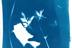 Mon photogramme végétal - Atelier cyanotype