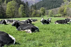 Dîner Insolite à la ferme by La Palette