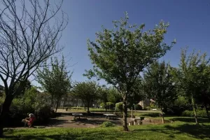 Fête de quartier au Jardin des Olieux
