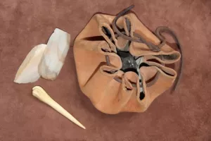 Atelier "Artisanat du cuir néo" - de 8 à 12 ans