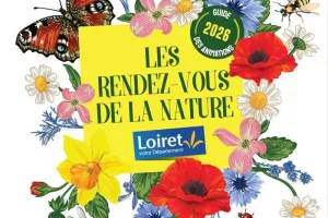 Découverte des plantes sauvages utiles pour une cure détox