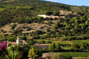 UN MOMENT DE TRANSMISSION ENTRE MÉMOIRE DES PIERRES ET SAVOIR-FAIRE VIGNERON
