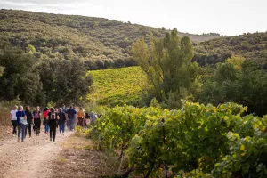 BALADE VIGNERONNE