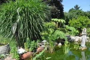 Visite découverte du jardin