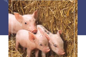 Visite à la ferme d'Agnès