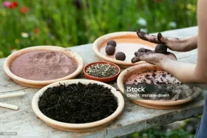 VILLE D'AVRAY : Mission biodiversité : fabrication de bombe à graines !