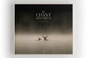 CINECO : LE CHANT DES FORETS