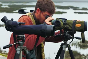 48h nature - L'odyssée des oiseaux migrateurs