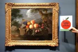 Des images à lire