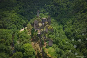 Les Nuits des Forêts en Vallée de la Dordogne Corrézienne