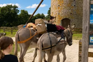 Journée rando-âne au cœur du Bocage : patrimoine et saveurs du terroir