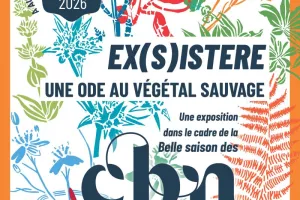 Domaine de Certes et Graveyron : exposition Ex(s)istere, une ode au végétal sauvage