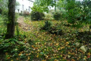 Rendez-vous aux jardins : La Vue