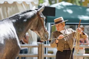 L'hippodrome de Langon fait son show