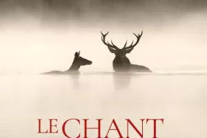LE CHANT DES FORETS