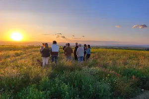 BALADE GOLDEN HOUR AU DOMAINE