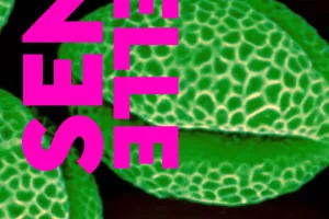 EXPOSITION ESSENTIELLE - LA NATURE PAR LES SENS