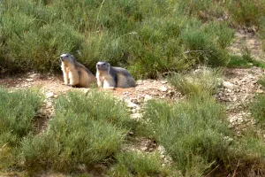 BAIN DE NATURE EN HAUT CONFLENT, PETITE RANDONNEE AVEC PASSCANIGO