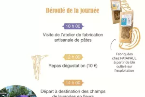 Visite de ferme : pâtes artisanales et lavandes en fleurs
