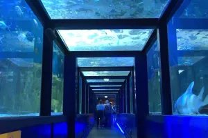 Vive la biodiversité - Clg Malraux de Pontarlier (25)