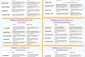 Programme ALSH 3 - 11 ans été 2026