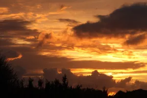 La Réserve au crépuscule