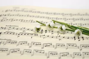 Festival de l'été en Périgord Vert : concert