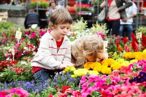 Marché aux fleurs de Bazas