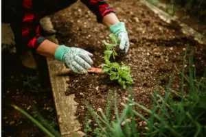 JARDIN INTERGENERATIONEL