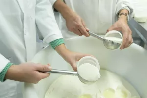 Expérience immersive (adulte) - Visitez une chèvrerie et fabriquez votre fromage