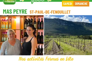 FERMES EN FÊTE AU MAS PEYRE