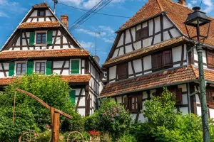 Exposition : À la découverte de l'Alsace Verte
