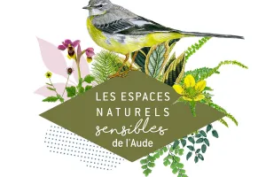 ENS - DES ALGUES DE LA MER AUX ALGUES DES CHIMÈRES LICHÉNIQUES