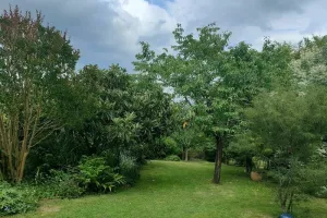 Déambulation dans un jardin paysager