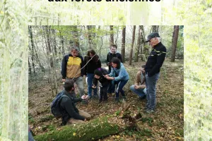 Balade : La biodiversité des forêts