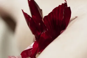 Mois de la photo : exposition "transformations" par Solène Reymond