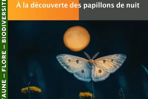 CÉVENNES - À la découverte des papillons de nuit