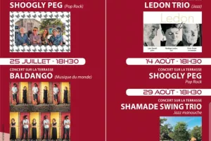 Concerts au Bistrot Belles Vues à Calvignac : Shoogly Peg  pop et rock