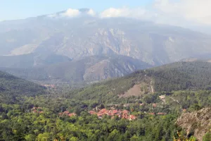 RANDO ACCOMPAGNEE : BOUCLE FORESTIERE VERS LE BALCON DU COGULLO
