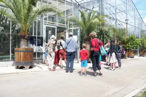 Visite guidée des serres de collection tropicales