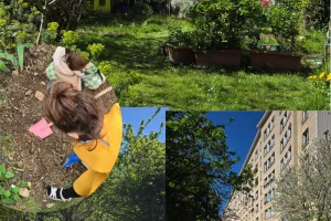 À la découverte du jardin !