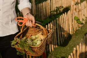 Le Marché des Talents à la Chapelle Saint-Martin