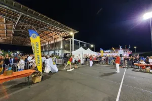 Championnat du monde de Lancer de pignes